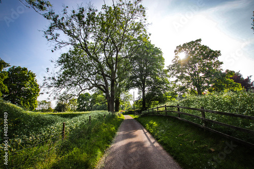 alley in the park