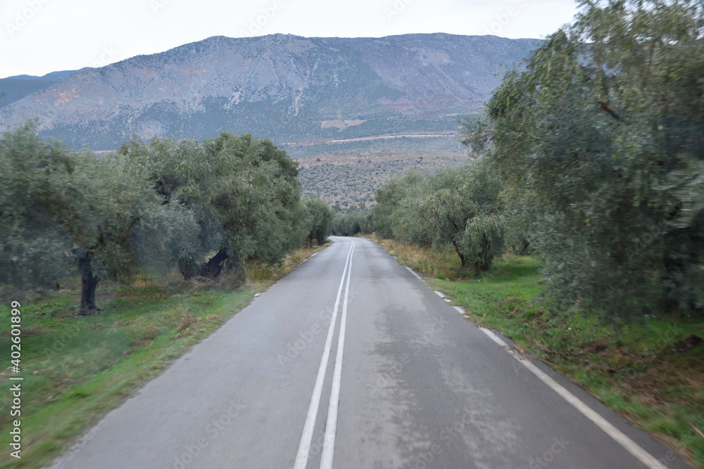 View of the main monuments of Greece. Ruins of ancient Delphi. Oracle of Delphi. Mount Parnassus. Road with olive trees
