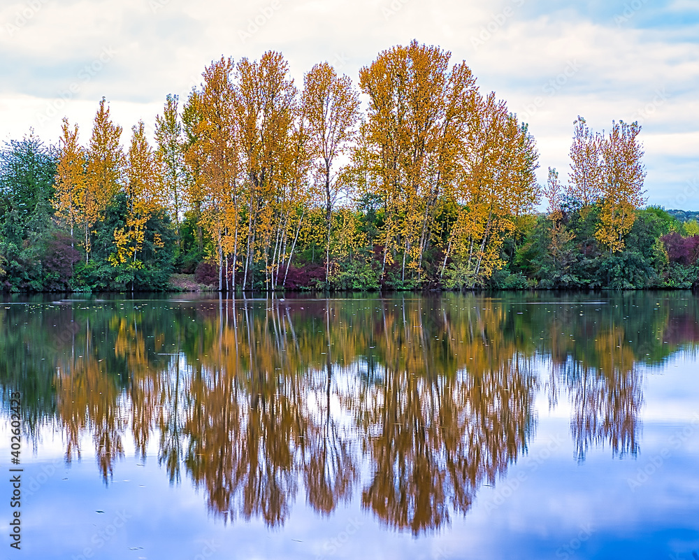 Bäume am See zur Herbstzeit