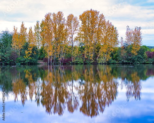 Obraz na płótnie Bäume am See zur Herbstzeit w salonie