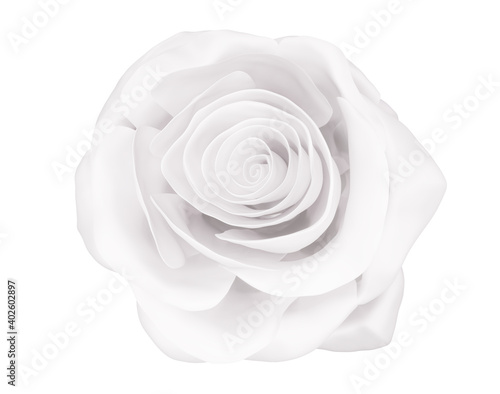 one elegant white rose close up isolated on white, 3d render