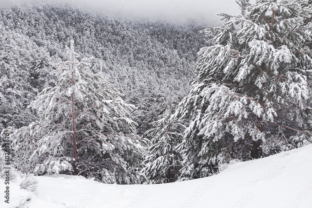 Fototapeta premium The Snowy Madrid Mountains