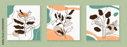 Set of simple minimalistic colorful flowers. Floral collection. Hand drawn doodle wild flowers, herbs, leaves. Flat style vector. Simple botany icons.