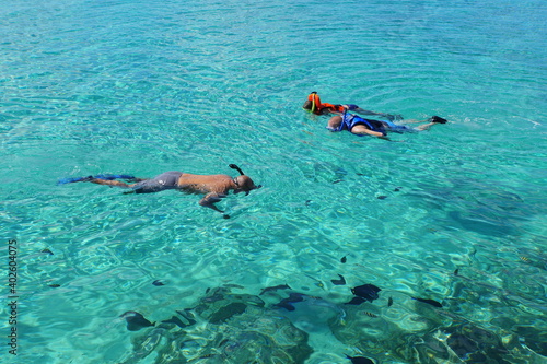 People snorkeling on top of the clear blue water