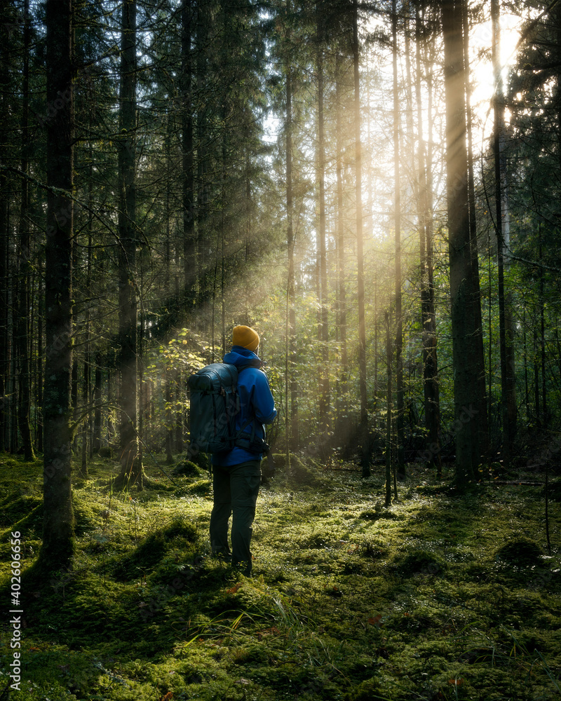 Thick dark forest with moss and sun rays shining trough. Male person standing in distance...V.By Valdis Skudre