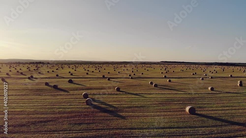 Aerial drone shot of straw bales (dry grass) on farmland. Wheat field after harvest at sunset. Natural rural landscape. Summer field with rolls of hay at sunset, countryside.
