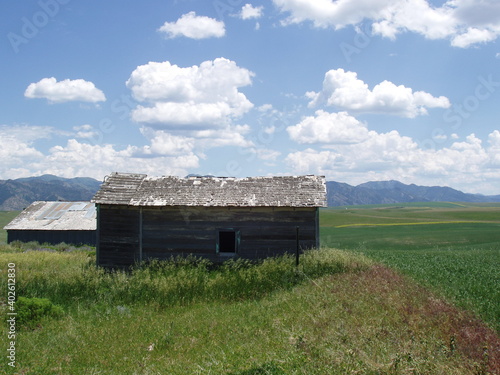 An abandoned barn waiting for a family on Montana homestead