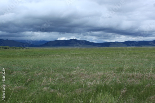 Open fields of Montana beckon travelers