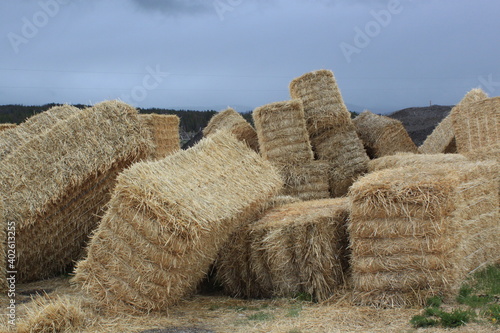 bales of hay