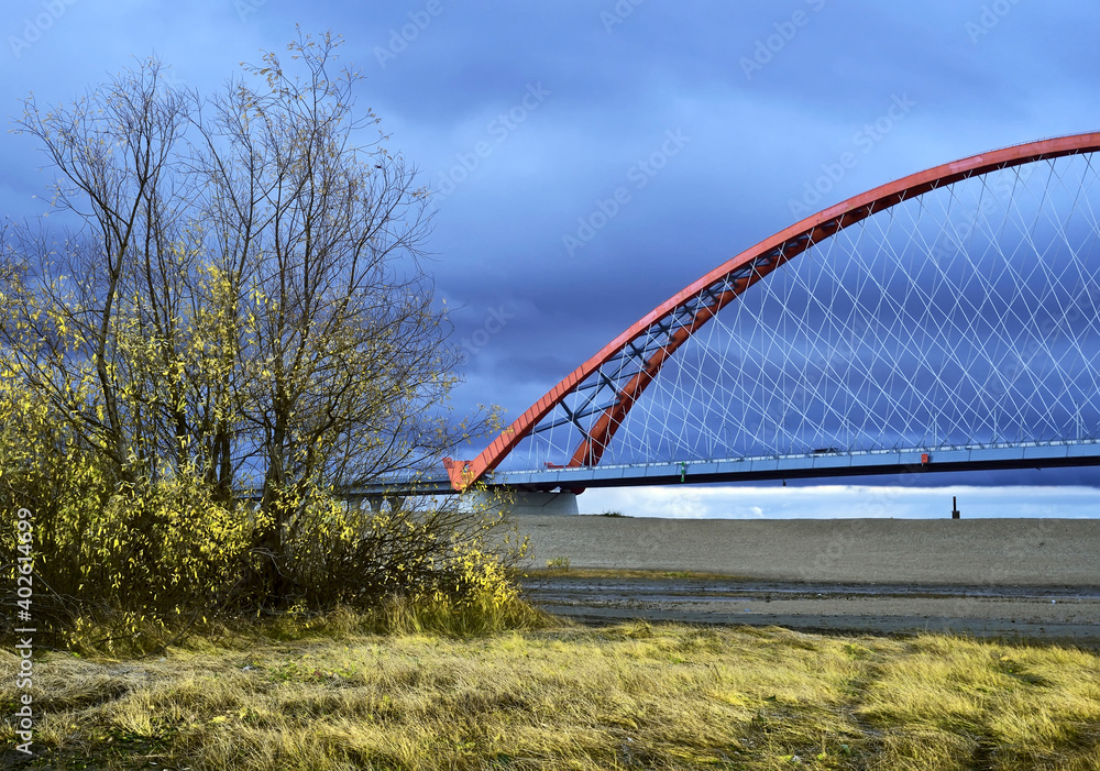 Fototapeta premium Bugrinskij bridge across the Ob river in Golden autumn