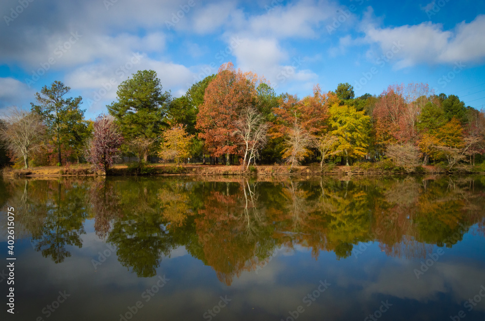 Lake in Fall 1