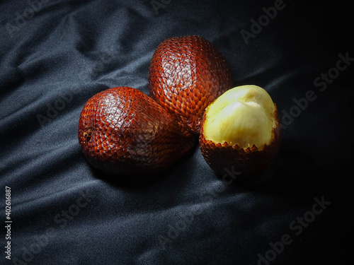 thorny palm isolated on black background