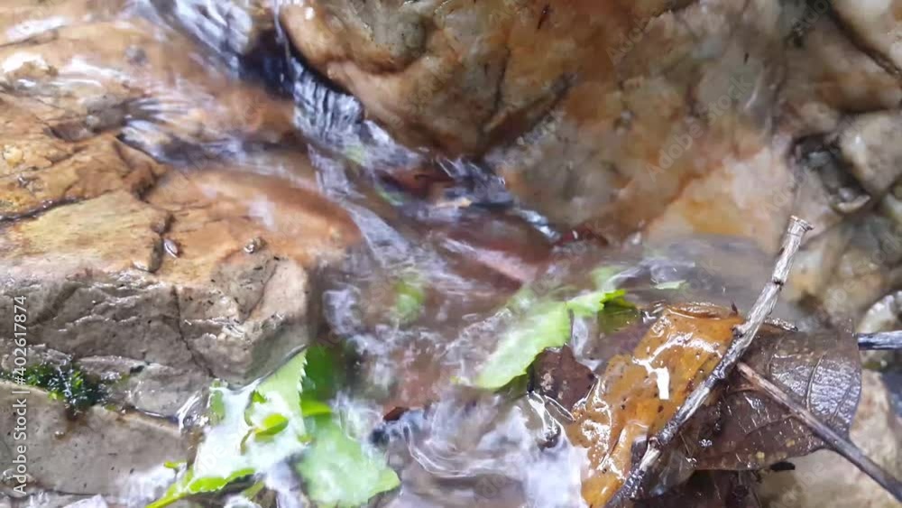 Close up view of Stream water flow from water fall and flowing in between stones Close up view of Stream water flow from water fall and flowing in between stones