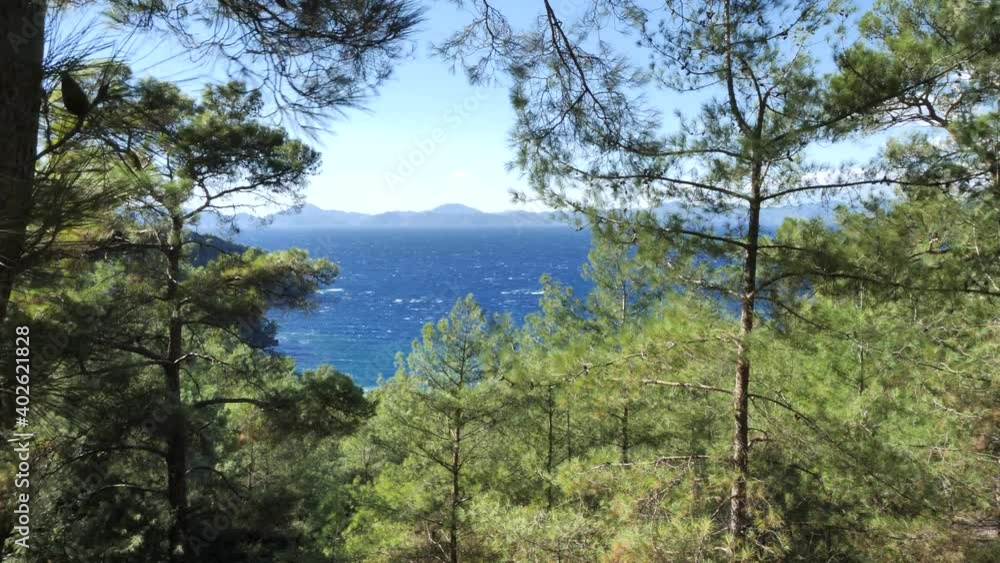 Mediterranean sea scenery with pine trees and blue sky windy stormy sea Mediterranean sea scenery with pine trees and blue sky windy stormy sea