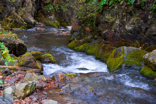 Fototapeta Naklejka Na Ścianę i Meble -  The stream flows between the mossy stones.