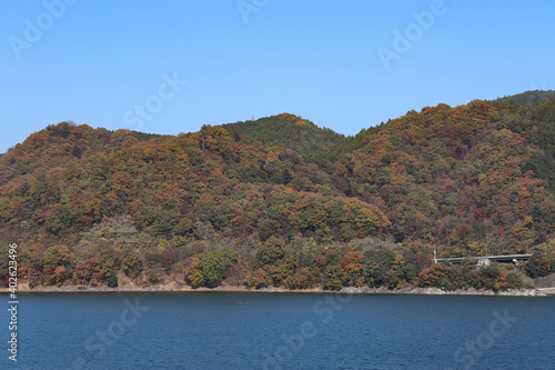 宮ヶ瀬湖の紅葉（神奈川県清川村） © sirius