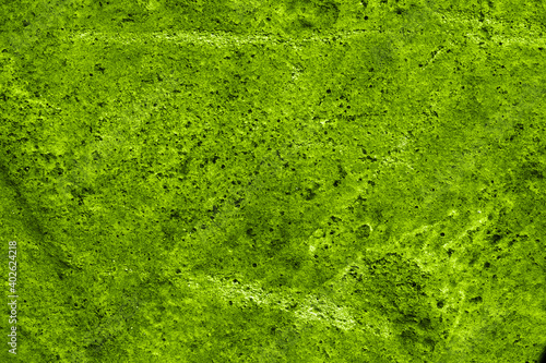Trendy abstract background for design, moss green. An empty, uniform surface with a fine texture and speckled spots. Screen saver for information