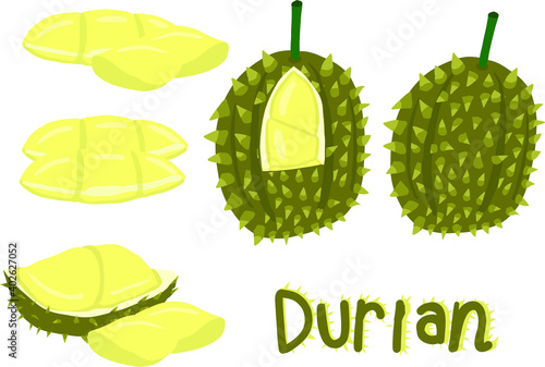 durian 
