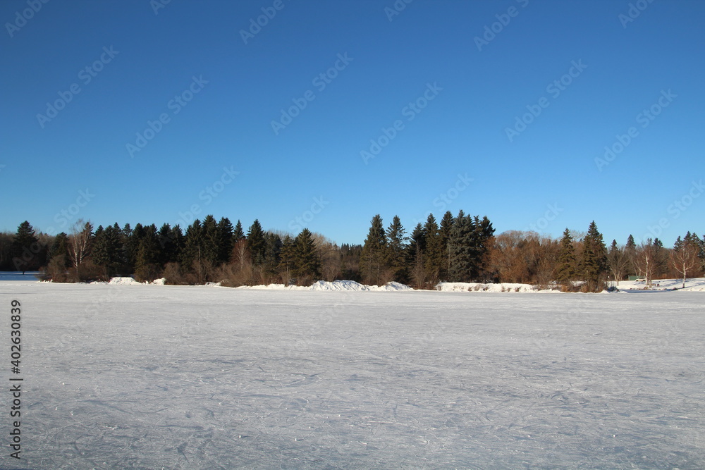 Frozen Lake, William Hawrelak Park, Edmonton, Alberta Frozen Lake, William Hawrelak Park, Edmonton, Alberta