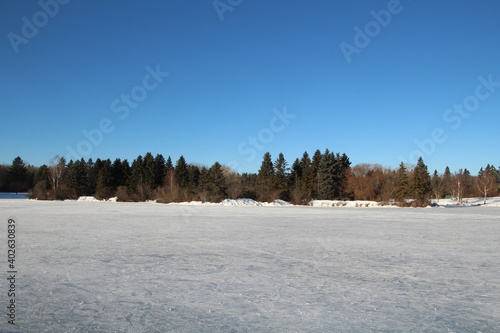 Wallpaper Mural Frozen Lake, William Hawrelak Park, Edmonton, Alberta Torontodigital.ca