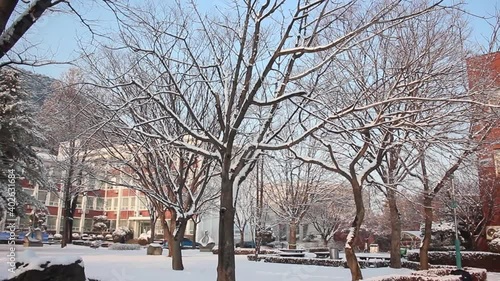 View of snow on ground and trees in a public park during winter
