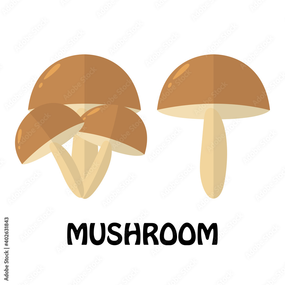 Vector Illustration Flat Mushroom isolated on white background , Raw materials fresh vegetable Vector Illustration Flat Mushroom isolated on white background , Raw materials fresh vegetable