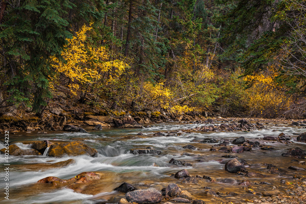 Autumn river woodland scene in Colorado