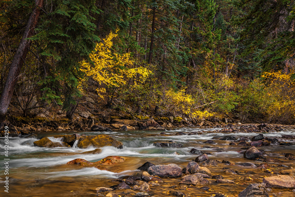 Autumn river woodland scene in Colorado Autumn river woodland scene in Colorado