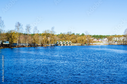 landscape of blue lake near forest
