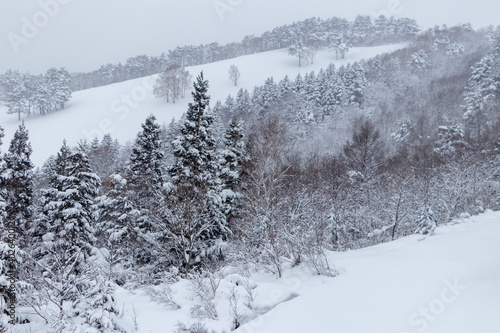 山の雪景色　冬　森林 © amosfal