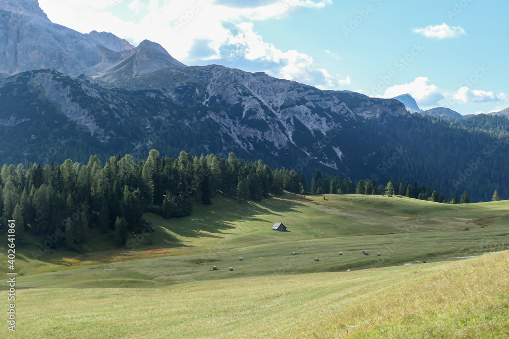 A panoramic view on the high Italian Dolomites. Sharp and steep mountain slopes. Lush green plateau around with some wildflowers and trees growing in between. A few clouds in the back. Serenity