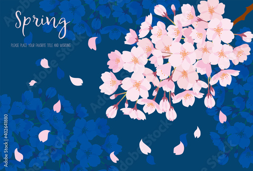 美しい夜桜の背景素材