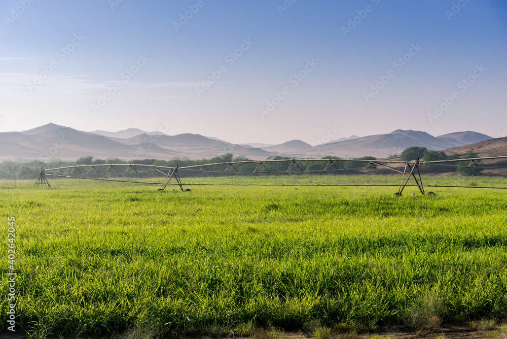 Cultivation land and nature of Saudi Arabia