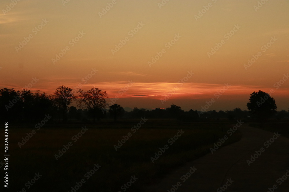 Orange light of sunrise, silhouette and blue sky in the morning 