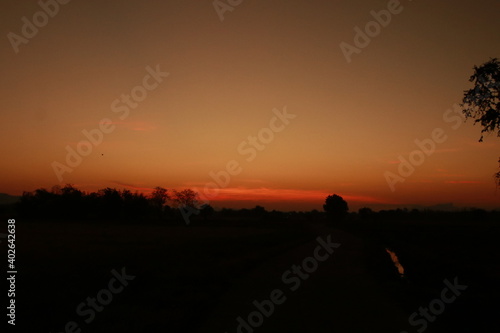 Orange light of sunrise, silhouette and blue sky in the morning  © Panom