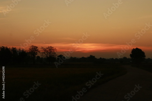 Orange light of sunrise, silhouette and blue sky in the morning 