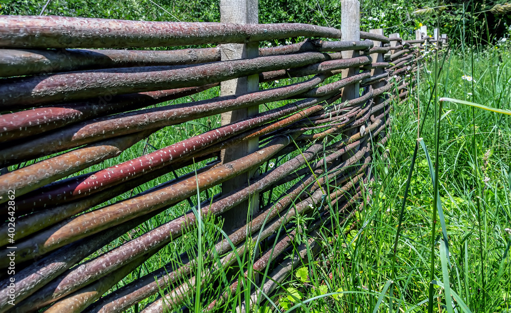 Privacy farm fence tree branch rural. Privacy farm fence tree branch rural.