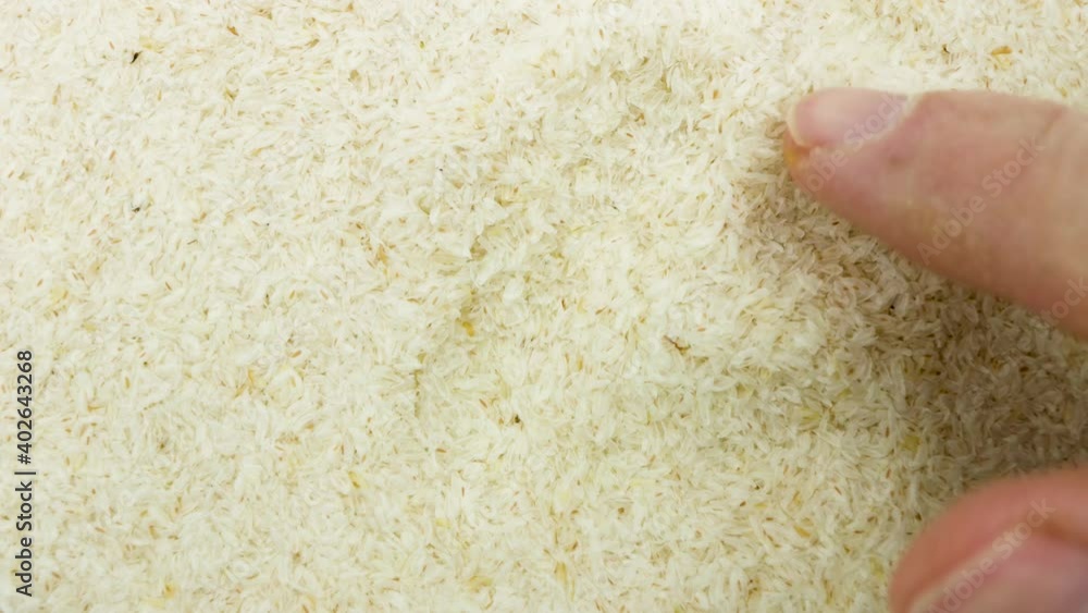 Supplement for intestinal transit, water soluble fiber, plantago ovata