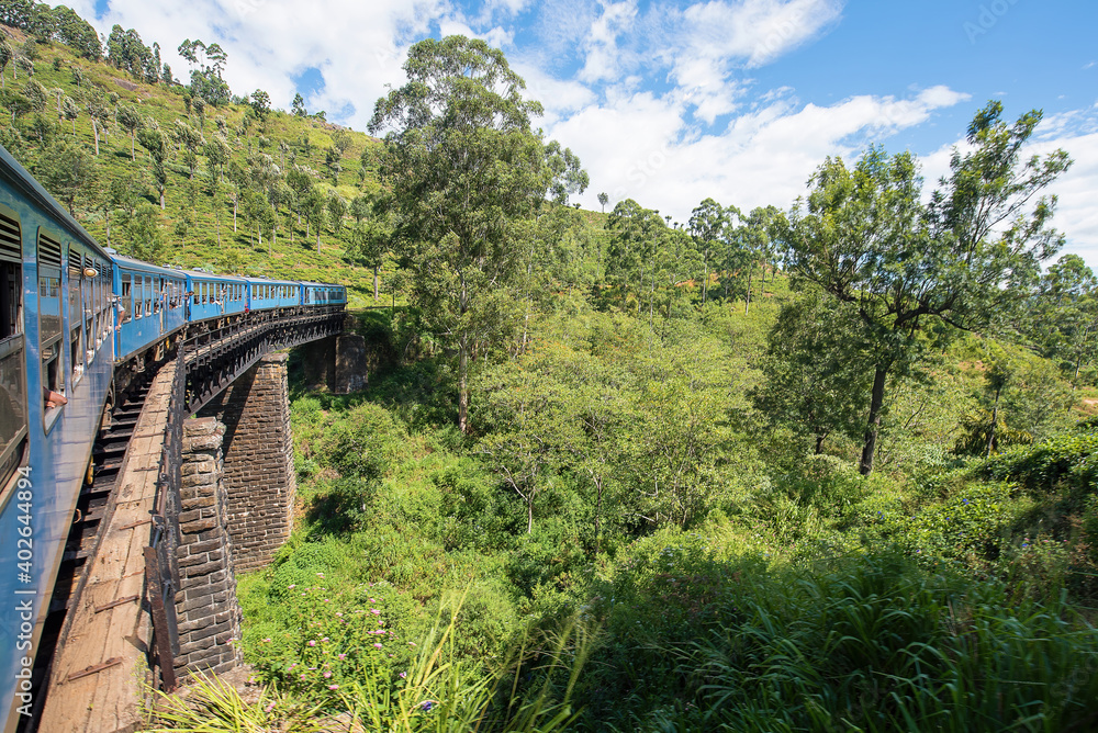 The Ella to Kandy Diesel train locomotive winds through tea plantations near Nuwara Eliya, Sri Lanka.