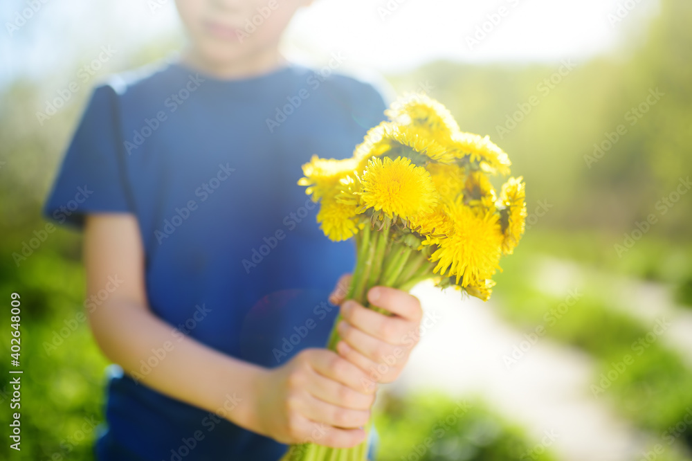 Close-up photo of bouquet of dandelions for the mom in the child's hand Close-up photo of bouquet of dandelions for the mom in the child's hand