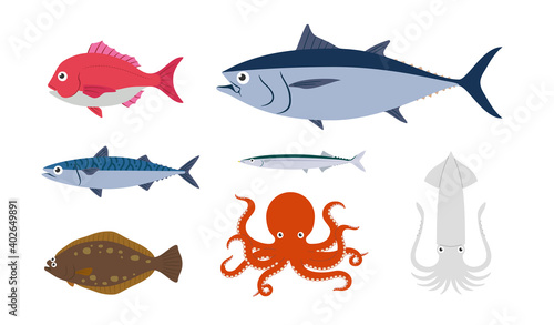 魚　セット