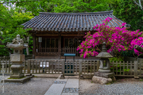 高徳院 観月堂 鎌倉