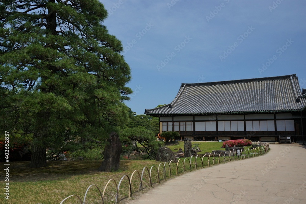 Ninomaru park at Former Imperial Villa Nijo-jo, Nijo Castle, in Kyoto, Japan - 京都 二条城 二の丸公園 Ninomaru park at Former Imperial Villa Nijo-jo, Nijo Castle, in Kyoto, Japan - 京都 二条城 二の丸公園