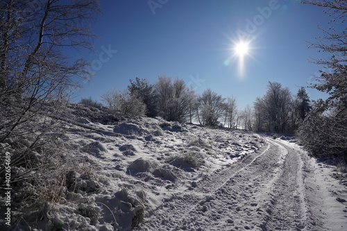 Fototapeta Naklejka Na Ścianę i Meble -  Mountains trail covered with snow in winter sunny day