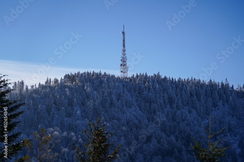 Fototapeta Naklejka Na Ścianę i Meble -  Communication Tower on Przehyba summit in winter sunny day. Beskids Mountains, Poland.
