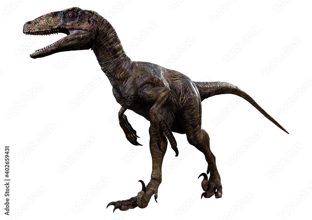 3D Rendering Dinosaur Deinonychus on White 3D Rendering Dinosaur Deinonychus on White
