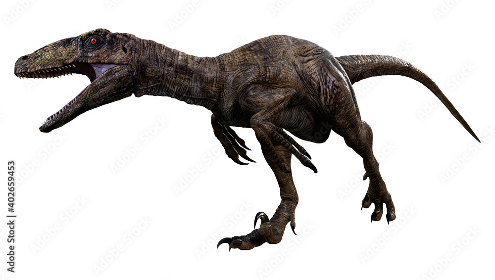 3D Rendering Dinosaur Deinonychus on White 3D Rendering Dinosaur Deinonychus on White