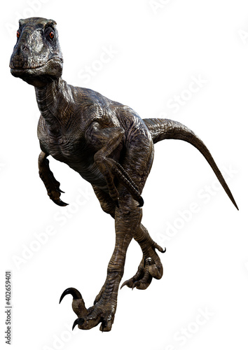 3D Rendering Dinosaur Deinonychus on White photo