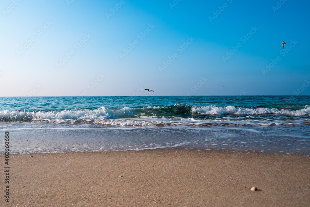 Seascape. Waves running on the sandy shore. Shore of the sea or ocean on a nice day. Vacation and relaxation by the sea.