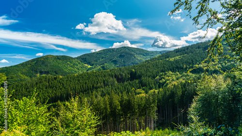Germany, Schwarzwald, Green tree covered mountains with blue sky in summer in untouched nature landscape near Gschasikopf peak
